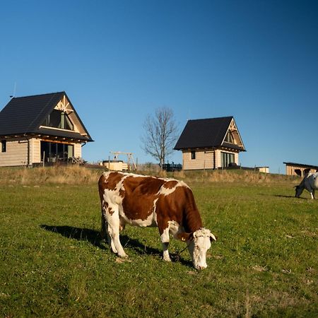 Osada Janosika Jacuzzi Drewniany Domek Na Odludziu Klikuszowa Extérieur photo